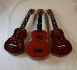 3 ukulele's